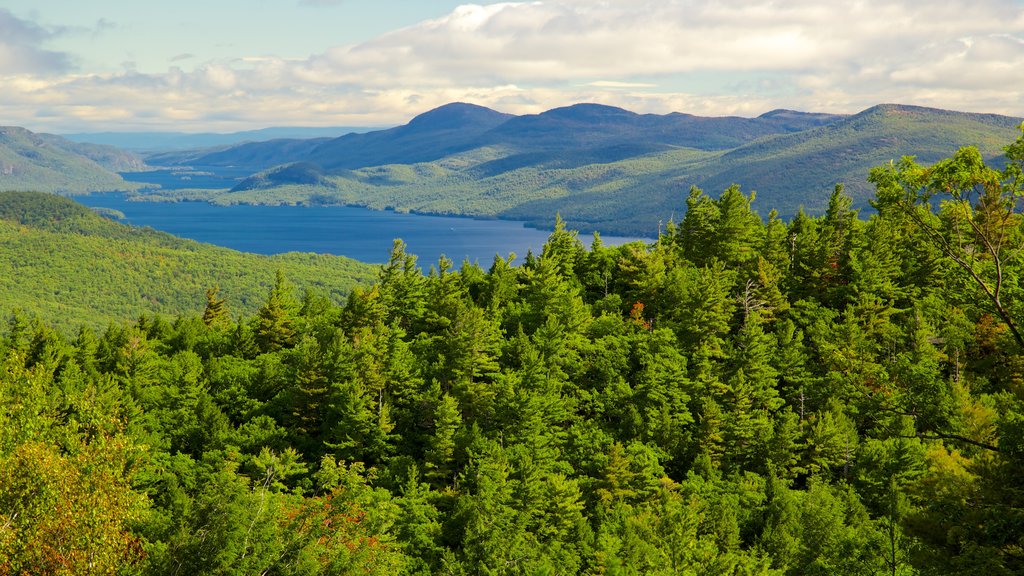 Lake George og byder på fredfyldte omgivelser og en sø eller et vandhul