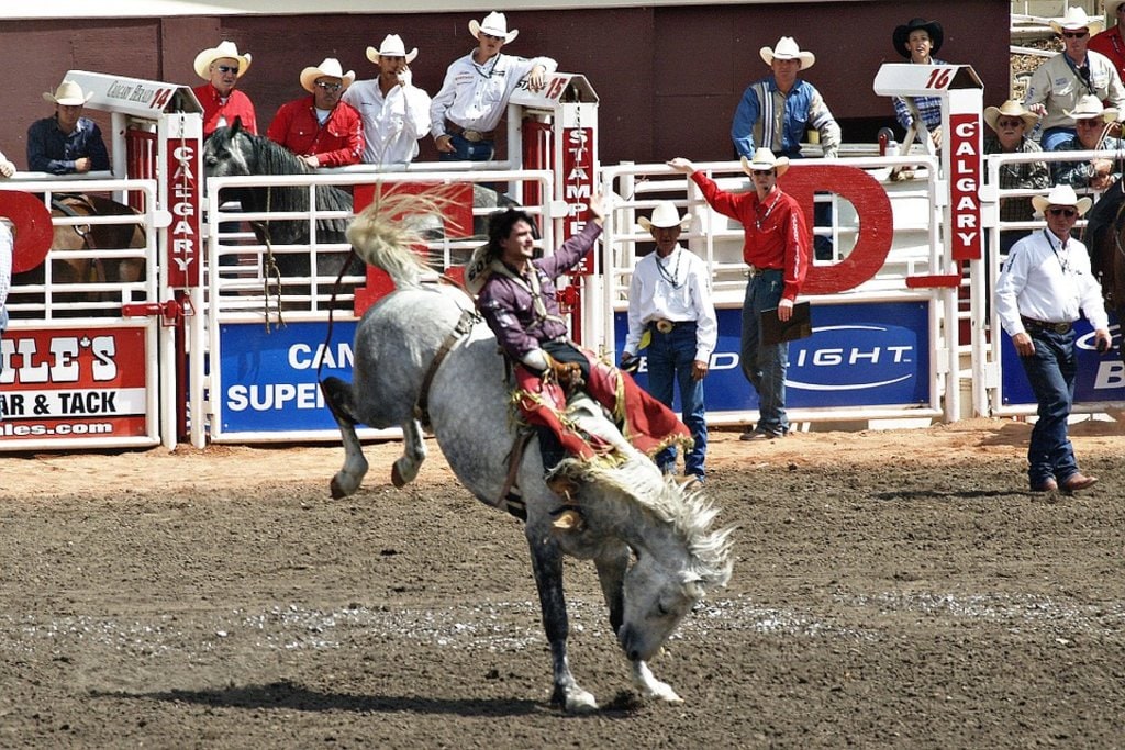 Calgary Stampede - By werner22brigitte   