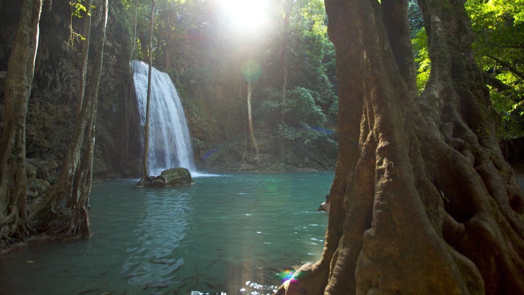 Le parc national d\'Erawan montrant un lac ou un point d’eau et une chute