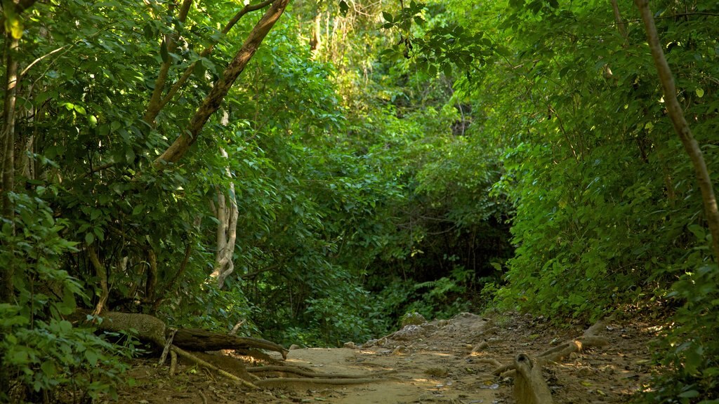 Erawan-Nationalpark