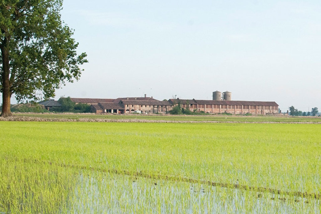 Un'immagine della Cascina Grande nei pressi di Gaggiano. Courtesy of © Via Lattea 2015, FAI.