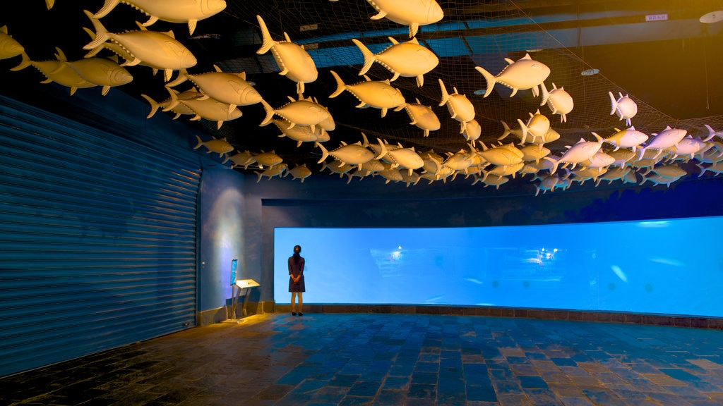 National Museum of Marine Biology and Aquarium