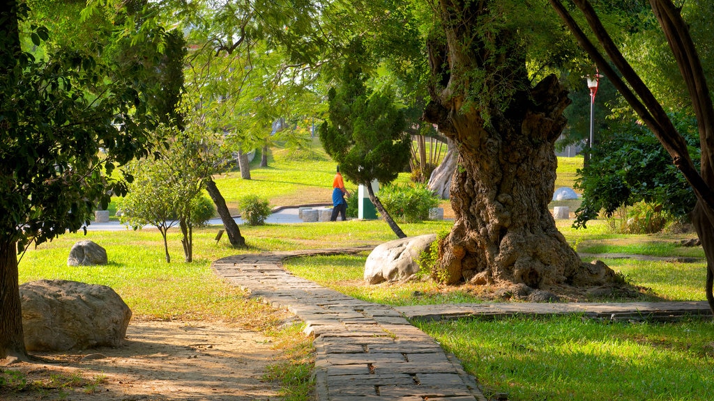 Parque de Taichung que incluye un jardín