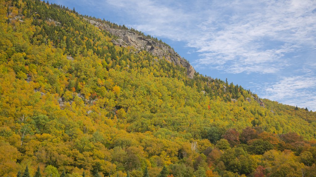 Centre du Vermont mettant en vedette scènes tranquilles et forêts