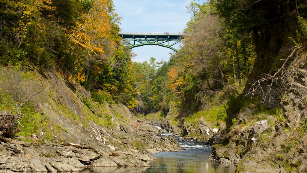 Quechee caracterizando cenas tranquilas, uma ponte e cenas de floresta