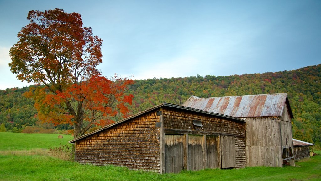 Vermont mostrando colores de otoño