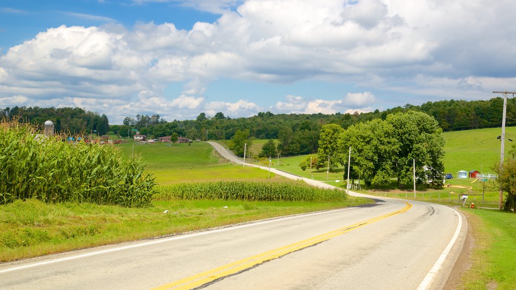 Greensburg showing farmland