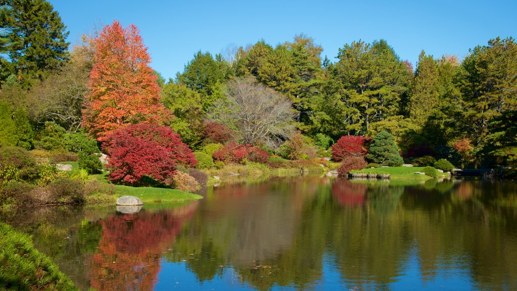 Northeast Harbor que incluye un estanque, bosques y hojas de otoño