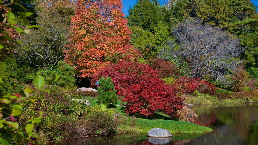 Northeast Harbor which includes a pond, a garden and autumn leaves