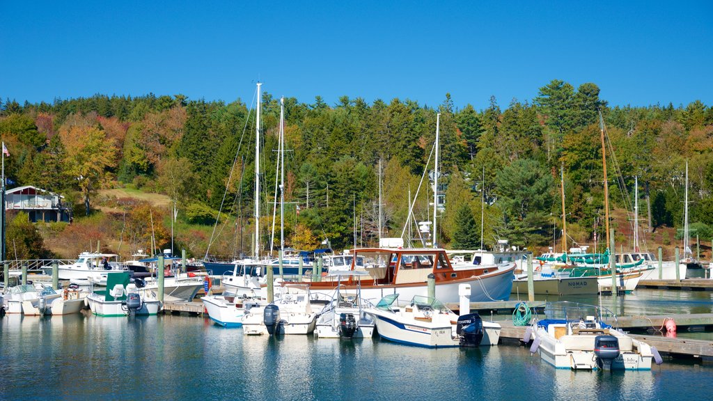 Northeast Harbor showing a bay or harbor