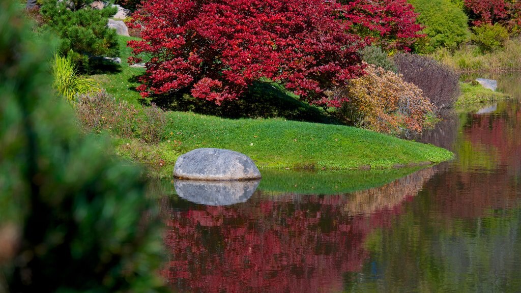 Northeast Harbor showing a pond and a garden