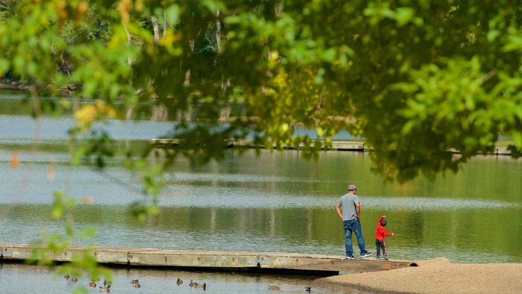 Wethersfield ofreciendo un lago o espejo de agua y también una familia