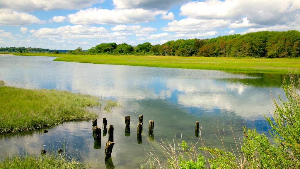 Jamestown que inclui um lago ou charco