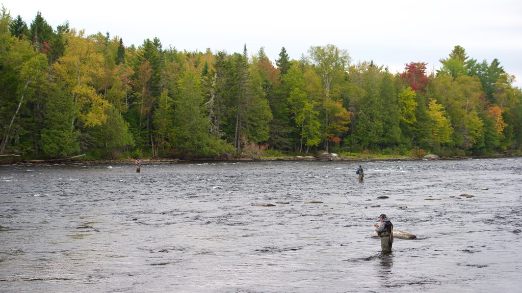 Greenville mettant en vedette une rivière ou un ruisseau et pêche