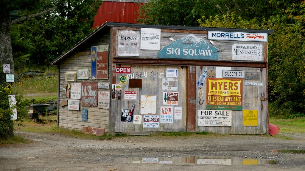 Greenville showing signage and heritage architecture