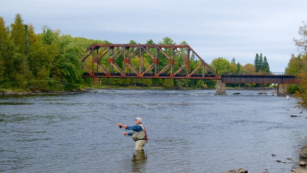 Greenville ofreciendo pesca, un puente y un río o arroyo