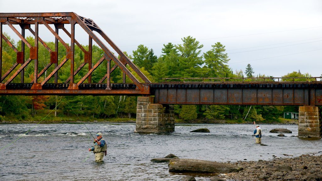 Greenville inclusief een rivier of beek, een brug en vissen