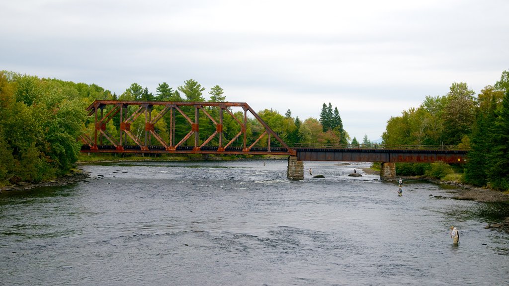 Greenville ofreciendo un río o arroyo y un puente