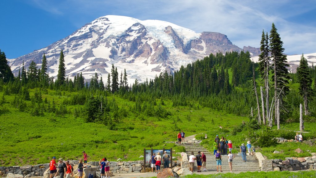 Paradise showing mountains as well as a large group of people