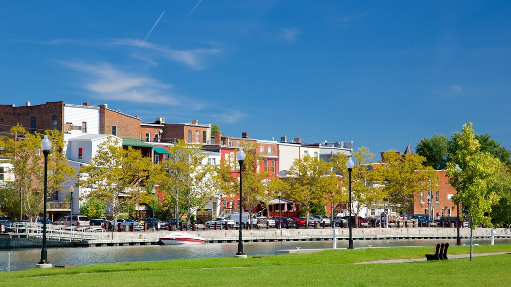 Seneca Falls featuring a park