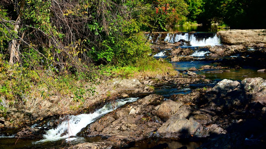 Solon featuring a river or creek and tranquil scenes