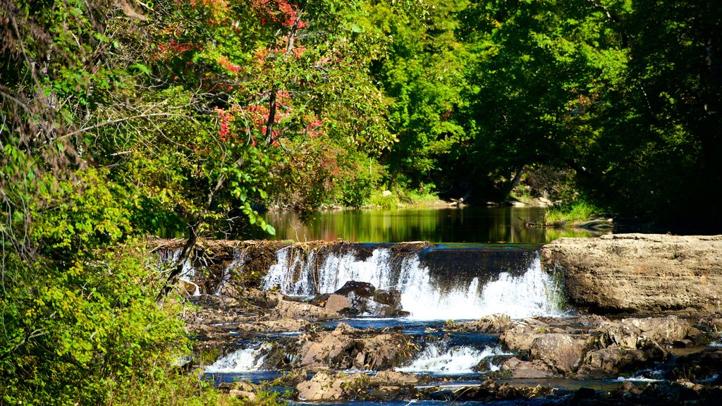 Solon toont vredige uitzichten en een rivier of beek