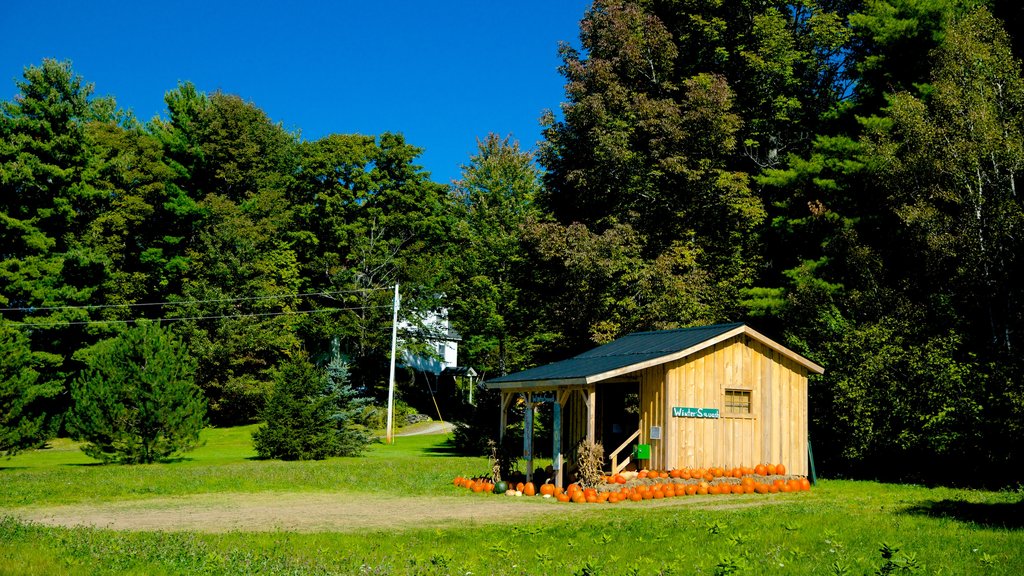 Solon showing a house and a garden