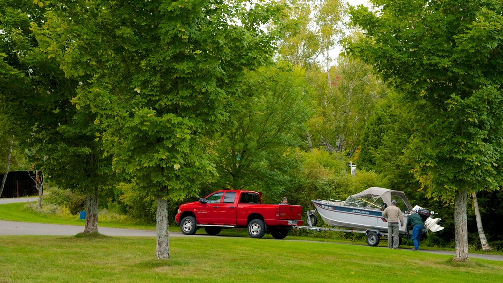 Rockwood showing forest scenes and vehicle touring