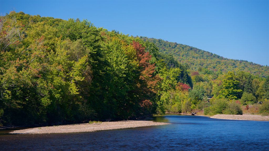 Bingham showing a river or creek