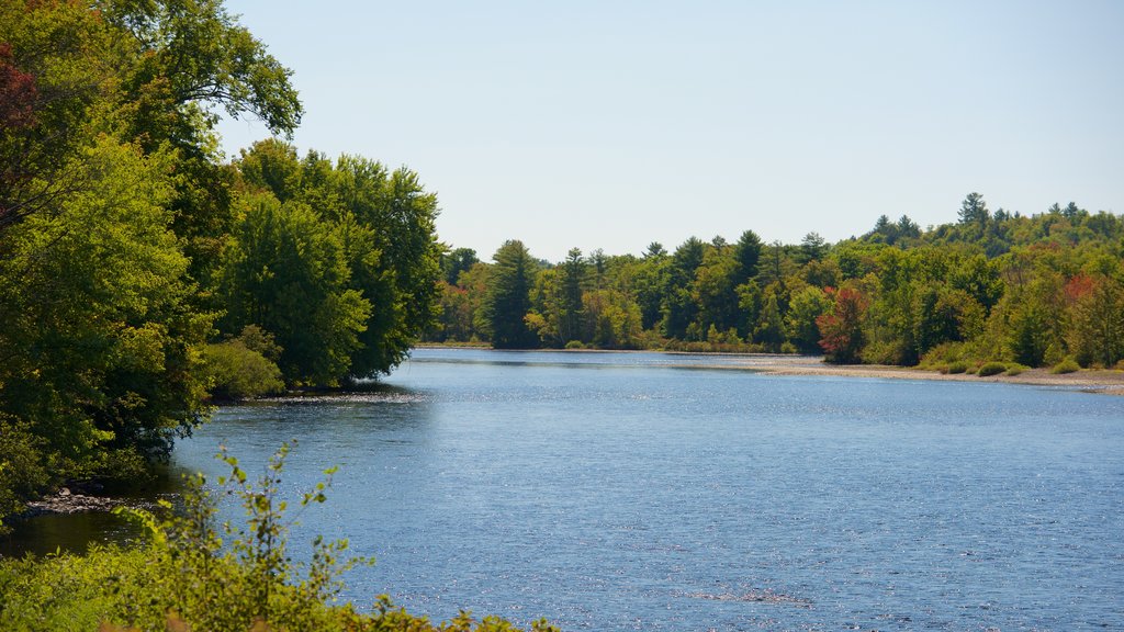 Bingham showing a lake or waterhole and general coastal views