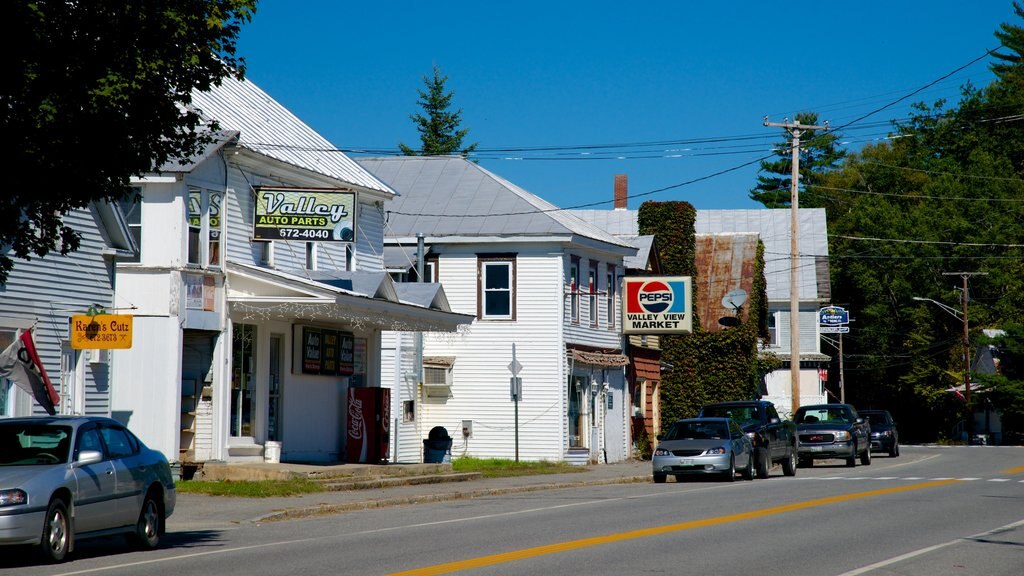 Bingham showing a small town or village and heritage architecture