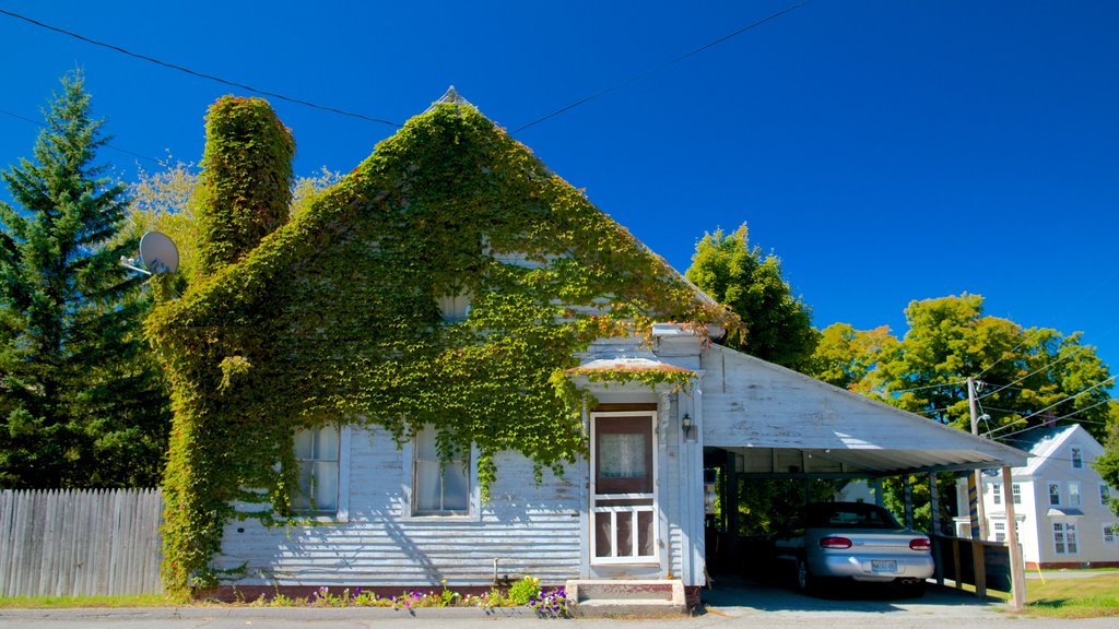 Bingham featuring a house