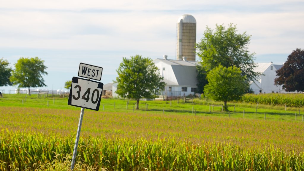 Intercourse showing farmland