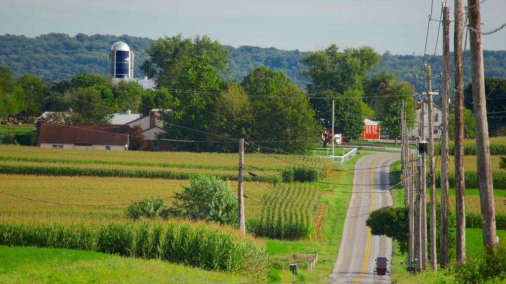 Intercourse showing landscape views and farmland