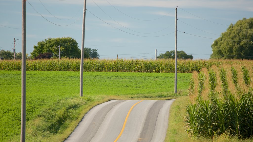 Intercourse showing farmland