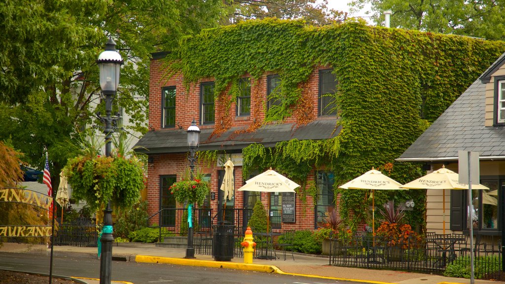 Doylestown ofreciendo una pequeña ciudad o pueblo