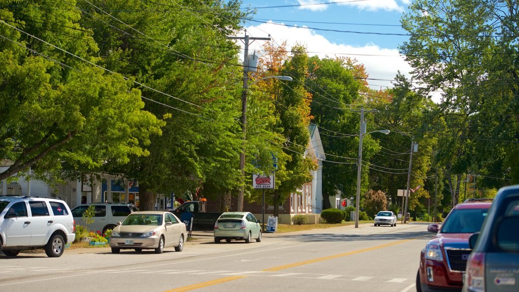 Fryeburg featuring street scenes