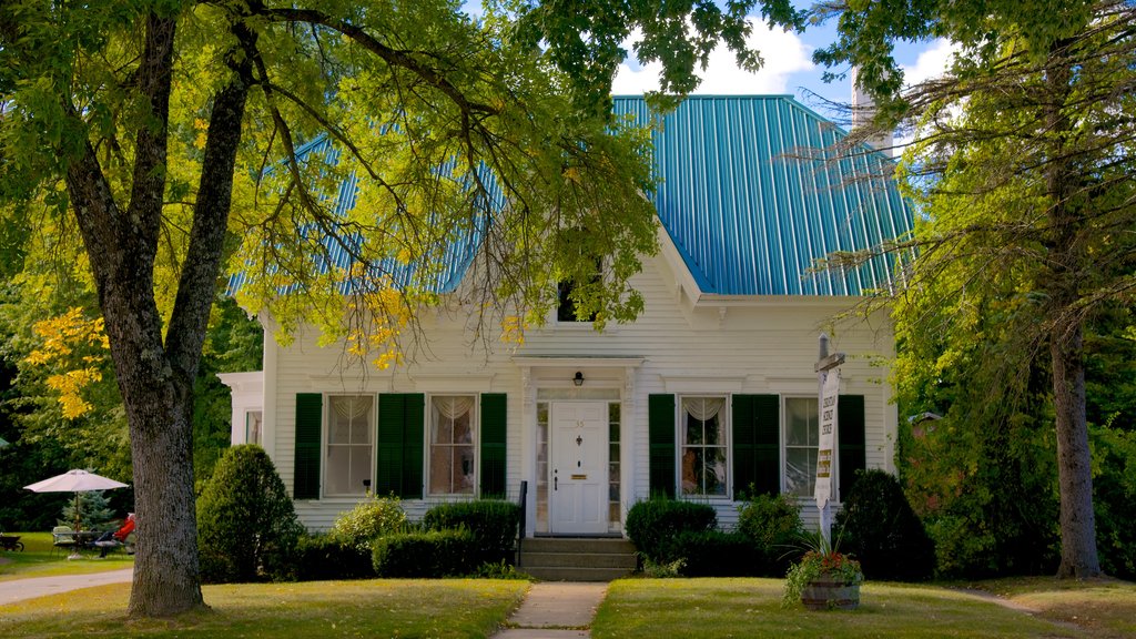 Fryeburg featuring heritage architecture