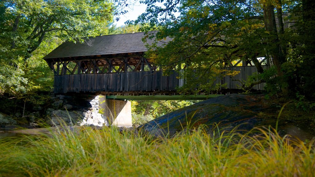 Bethel mostrando un puente y un río o arroyo