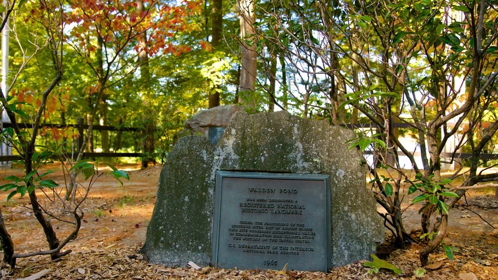 Walden Pond que inclui um jardim