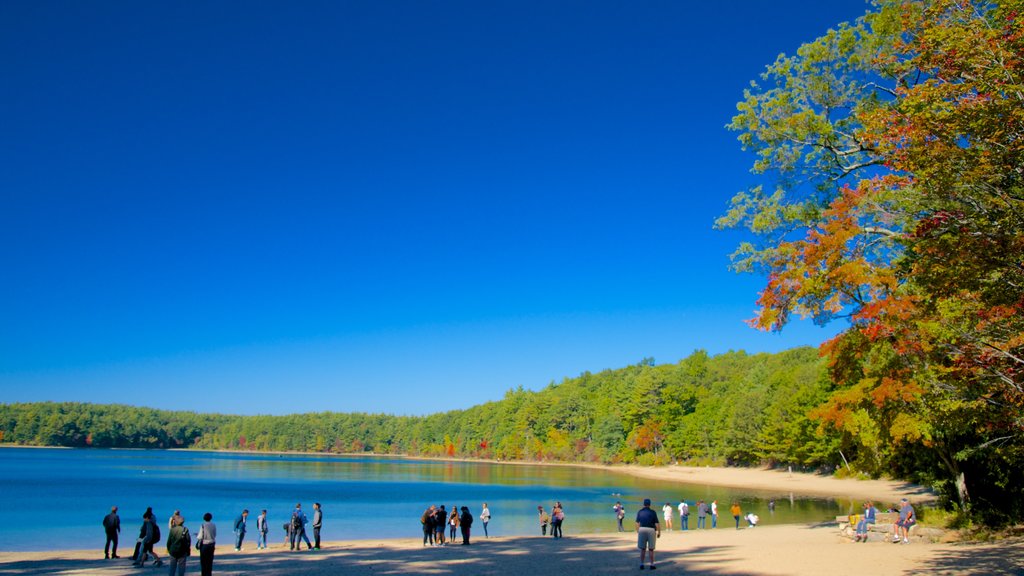 Walden Pond which includes a lake or waterhole, landscape views and skyline