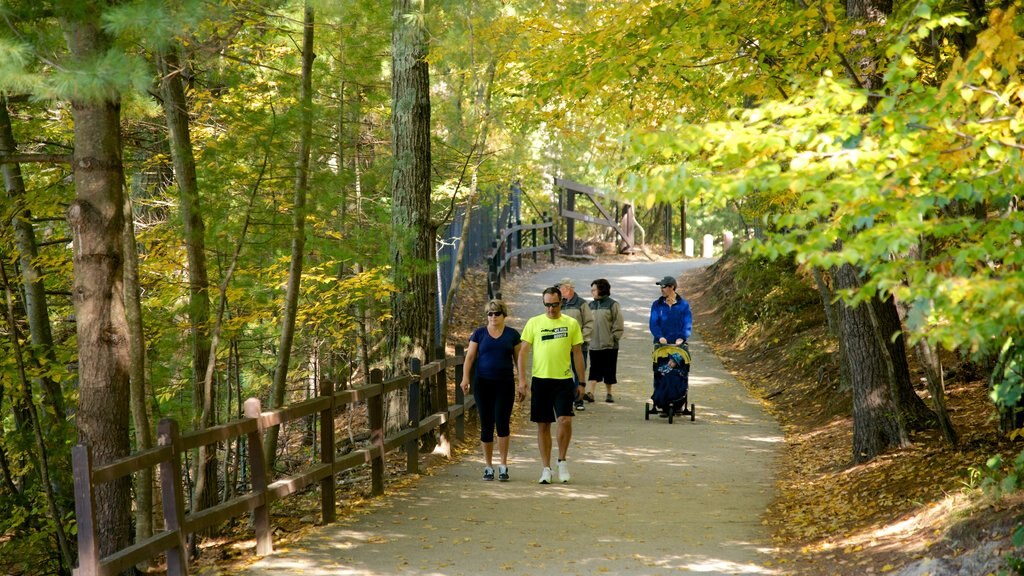 Walden Pond featuring a park as well as a small group of people