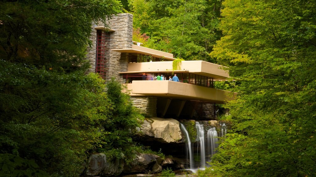 Fallingwater caracterizando uma cascata, floresta tropical e arquitetura moderna