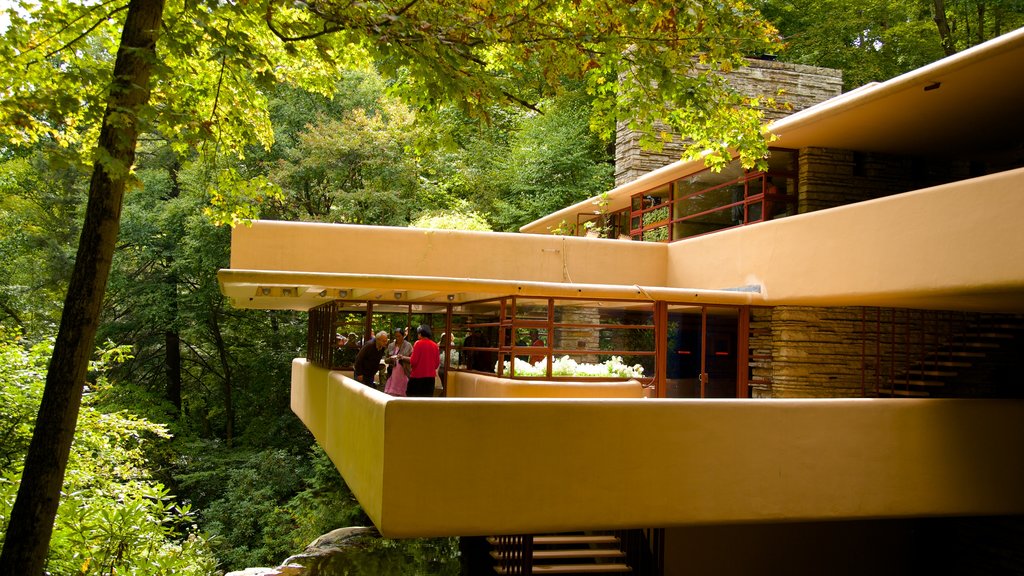 Fallingwater featuring modern architecture and rainforest as well as a small group of people