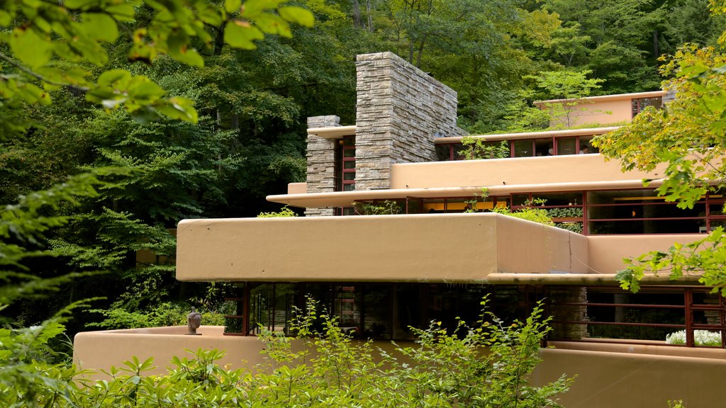 Fallingwater which includes modern architecture and rainforest