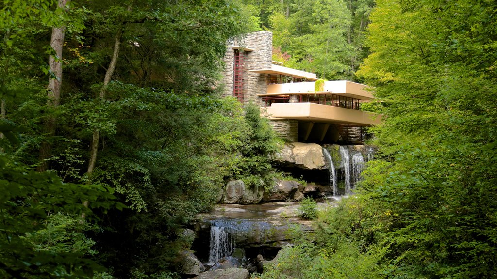 Fallingwater showing forests, a river or creek and modern architecture