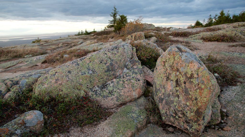 Cadillac Mountain featuring landscape views