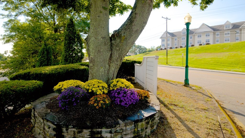 Olde Mistick Village which includes flowers