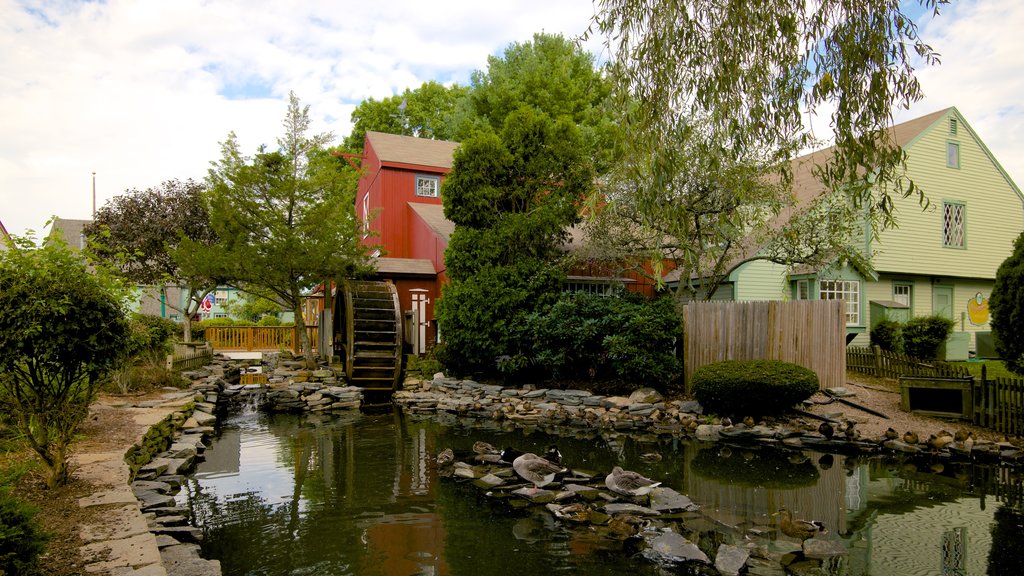 Olde Mistick Village showing a pond and a small town or village