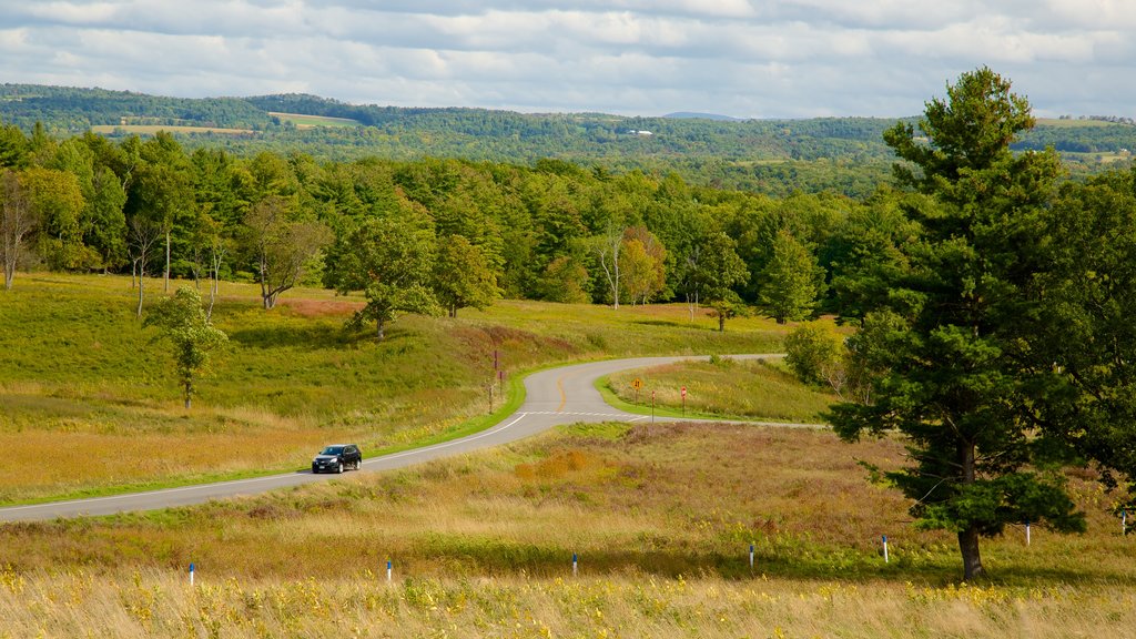 Saratoga National Historical Park presenterar stillsam natur